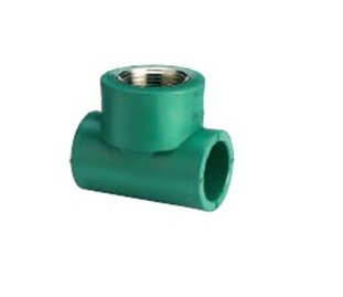 TEE CON ROSCA CENTRAL HEMBRA AS 25 3/4"